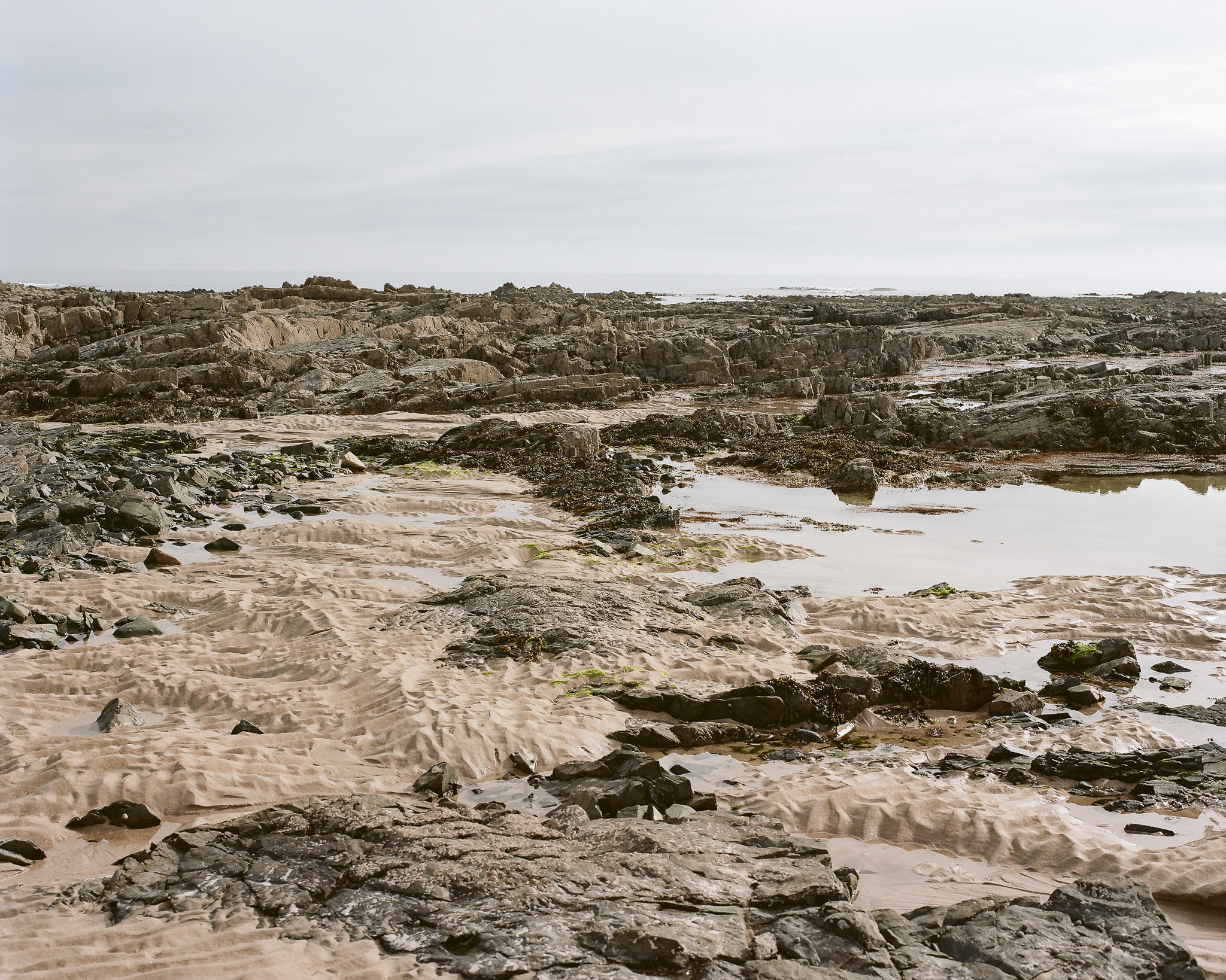 Low Water Jersey