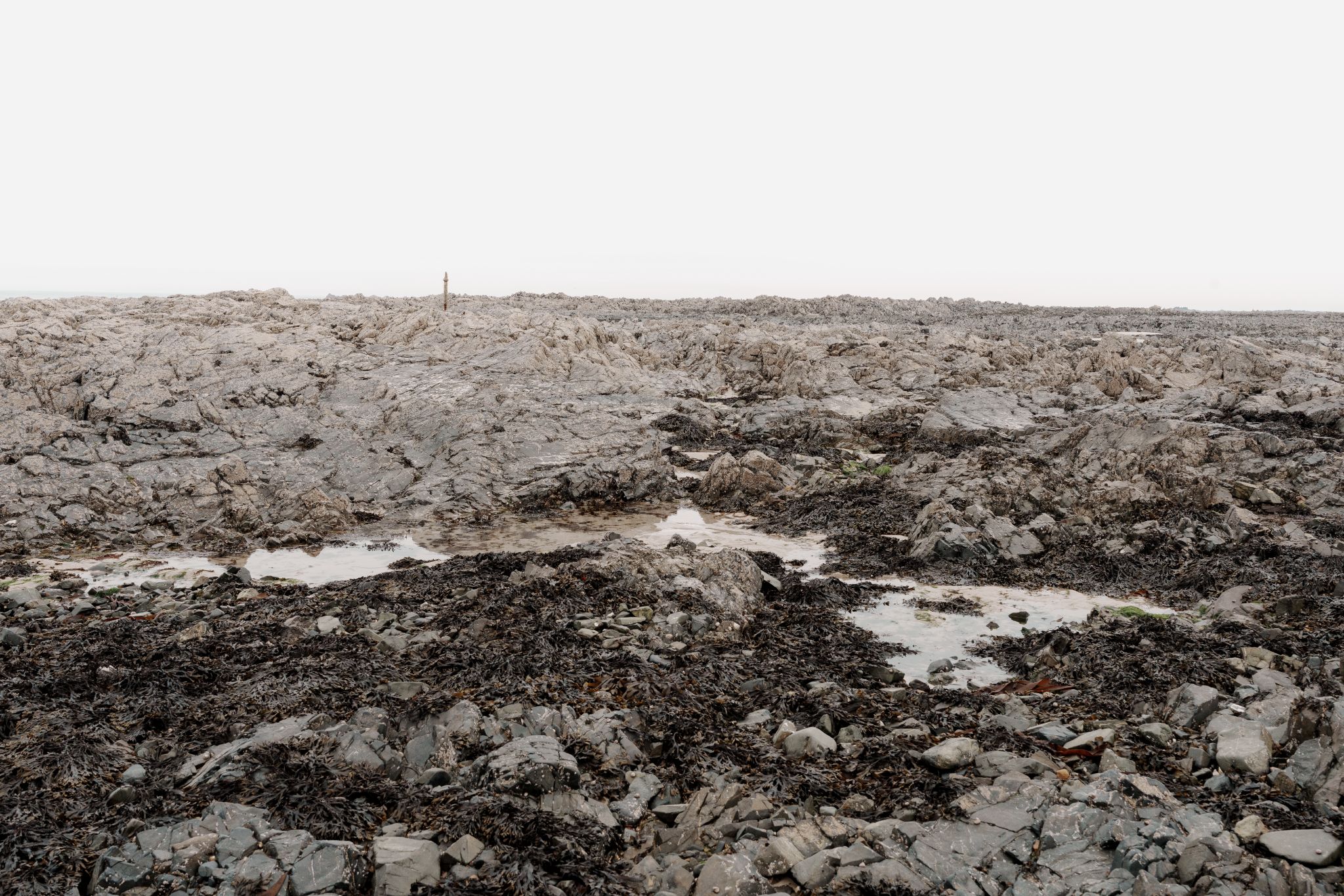 Low Water Jersey