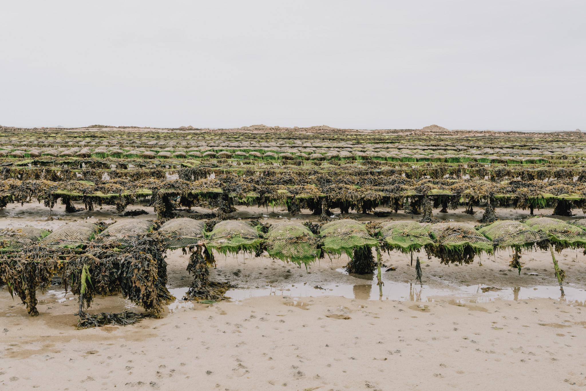 Low Water Jersey