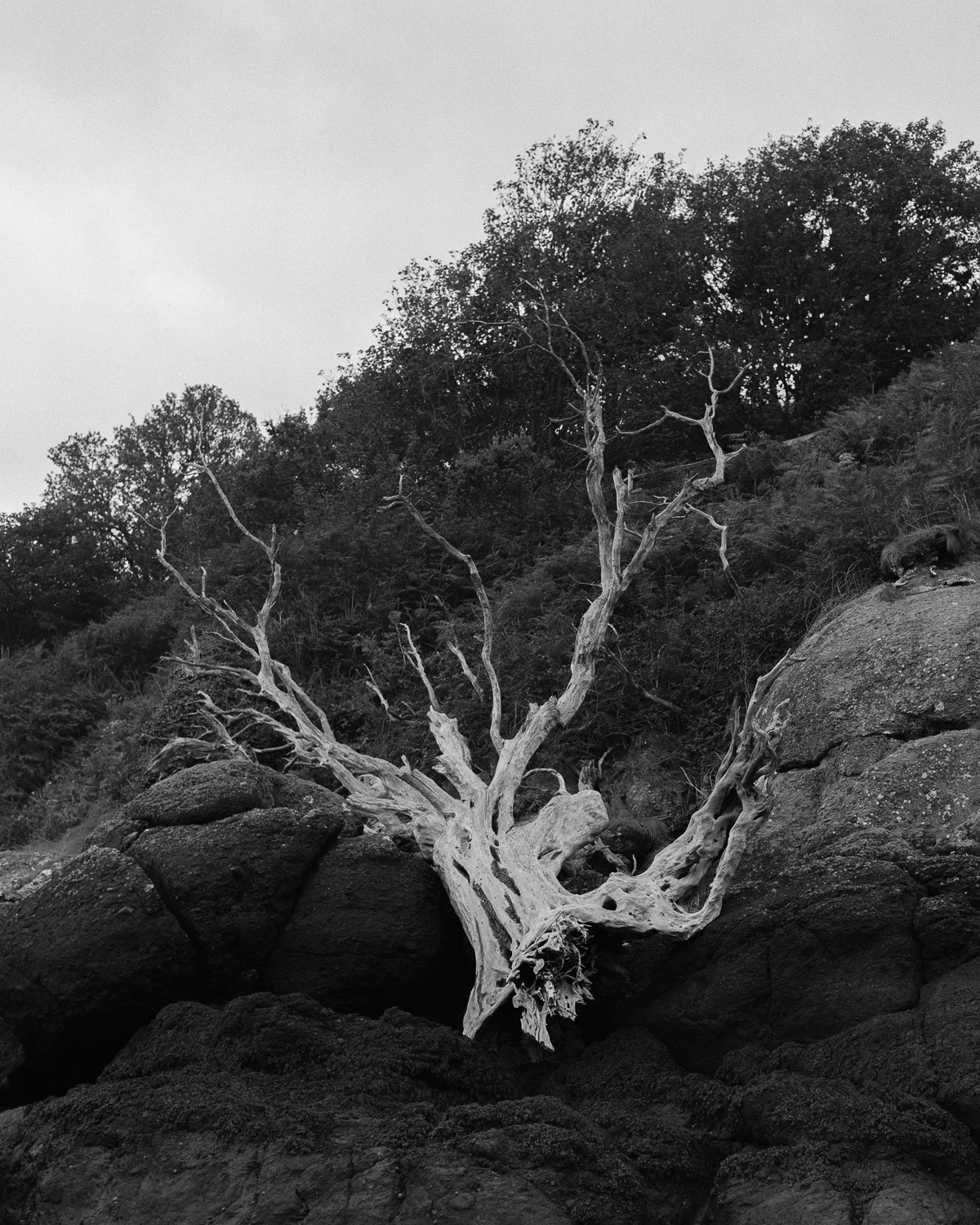 Low Water Jersey