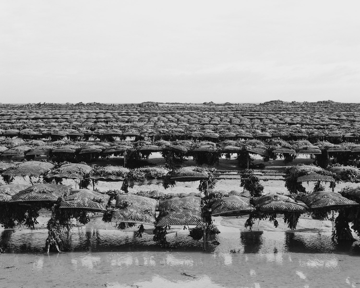 Low Water Jersey