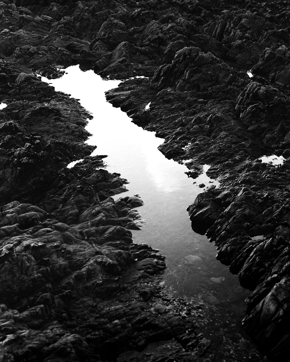 Low Water Jersey